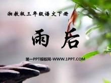 PPTμ11