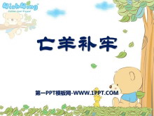 ΡPPTμ9
