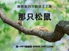ֻPPTμ4