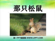 ֻPPTμ5