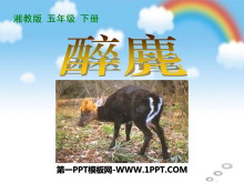 䡷PPTμ2