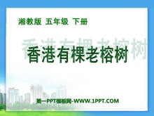 пPPTμ3
