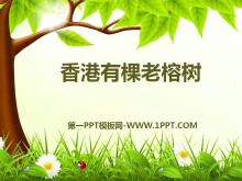 пPPTμ4