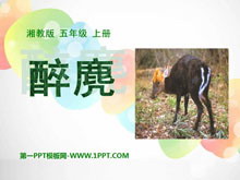 䡷PPTμ3