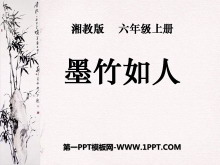 īˡPPTμ2