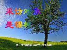 ɷöǿPPTμ3