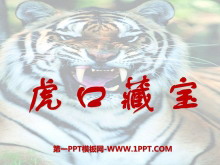 ڲرPPTμ