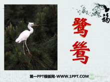 𸡷PPTμ4