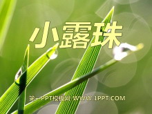 С¶顷PPTμ6
