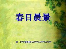 ճPPTμ
