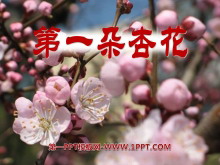 һӻPPTμ4
