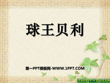 PPTμ
