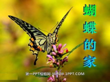 ļҡPPTμ5