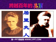 ԽPPTμ11