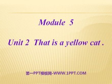 This is a yellow catPPTμ3