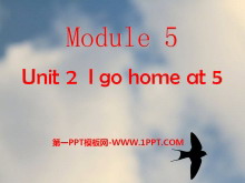 I go home at 5PPTμ
