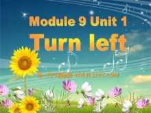 Turn leftPPTμ