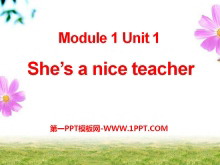 She's a nice teacherPPTμ