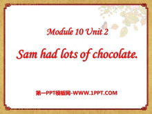 Sam had lots of chocolatesPPTμ3