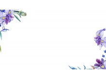 һɫPPT߿ز