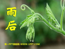 PPTμ14
