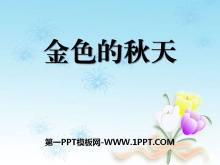 ɫ졷PPTμ5
