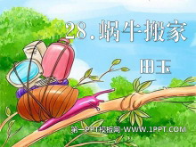 ţҡPPTμ