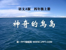 񵺡PPTμ