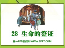 ǩ֤PPTμ
