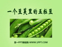 һPPTμ4