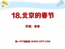 ĴڡPPTμ13