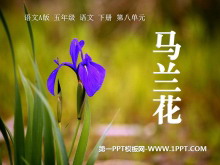 PPTμ