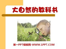 ȻĽ̿顷PPTμ