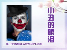 СᡷPPTμ6
