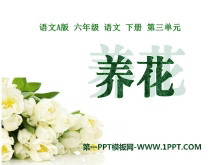 PPTμ10