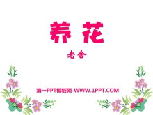 PPTμ12