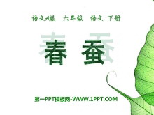 ϡPPTμ