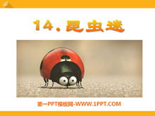 ԡPPTμ