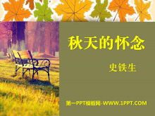 ĻPPTμ10