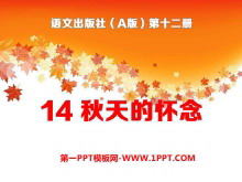 ĻPPTμ11