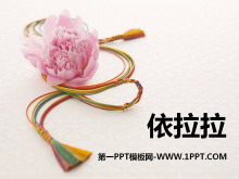PPTμ