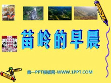 糿PPTμ2