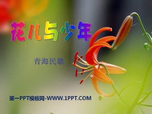 ꡷PPTμ