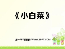 СײˡPPTμ