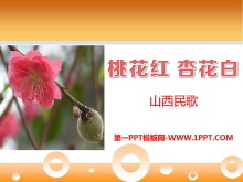 һӻסPPTμ