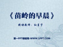 糿PPTμ4
