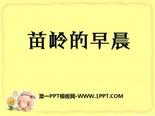 糿PPTμ3