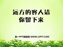 ԶĿPPTμ2