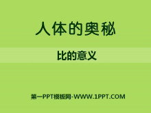 İءPPTμ4