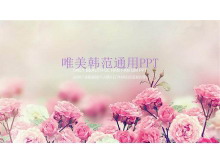 ɫǾޱĺPPTģ